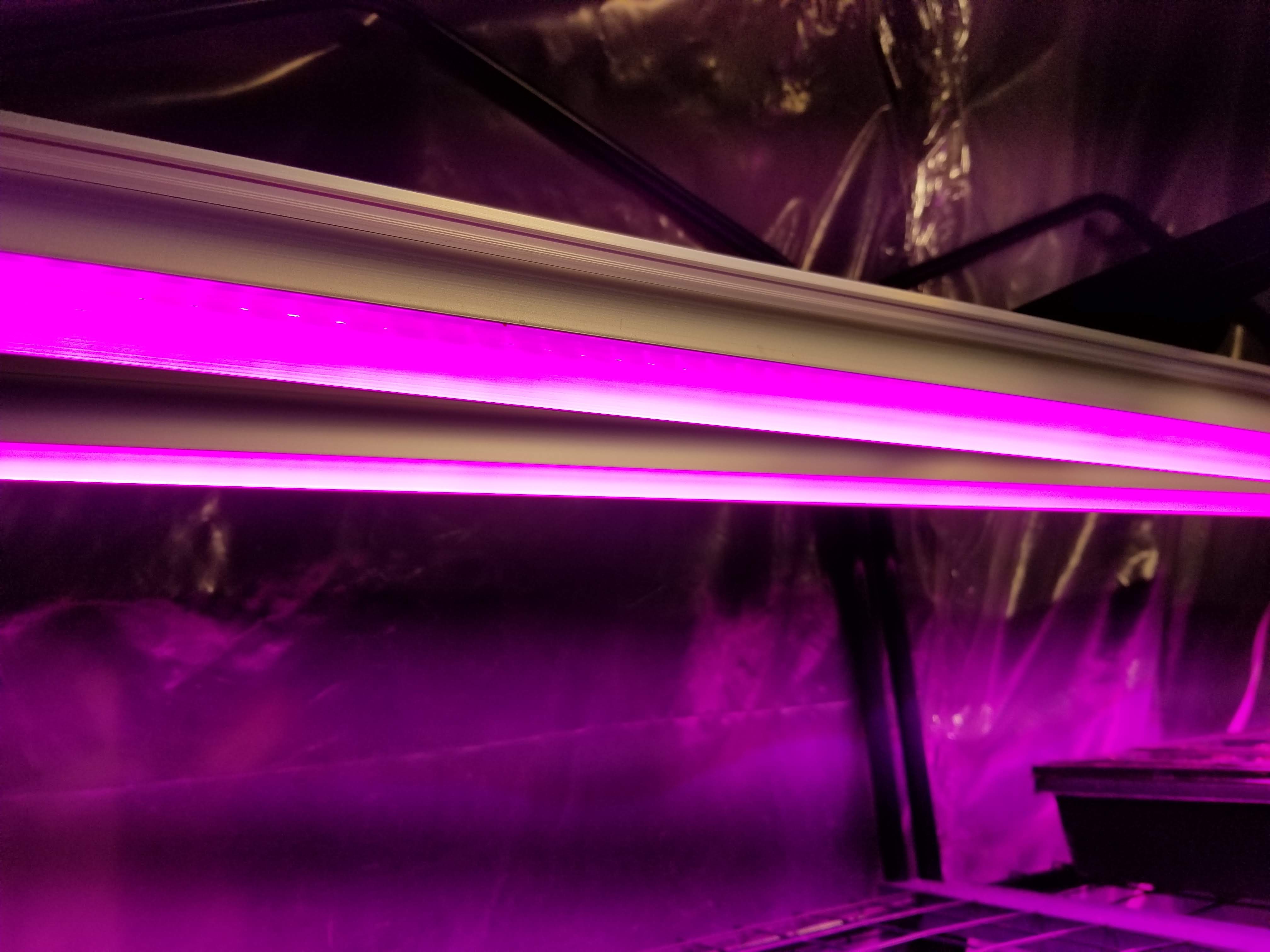 Grow Light Bulbs for Indoor Plants Full Spectrum Barrina 4FT 42W T8 LED Grow Lights Pack of 12 LED Grow Lights 