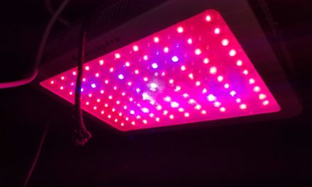 Roleadro LED Grow Light, Galaxyhydro Series 1000W Indoor Plant Grow Lights Full Spectrum