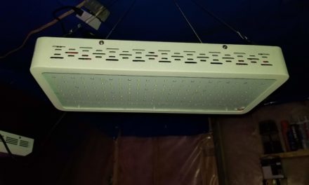 ONEO 1000W Full Spectrum Sunlight 3500K White and Red LED Grow Light