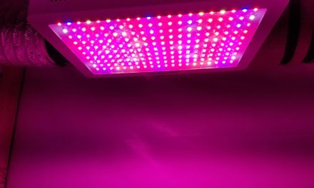 HIGROW 2000 Watt Double Chip LED Full Spectrum Grow Light