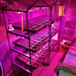 Byingo 4ft 64W Plant LED Grow Light Full Spectrum