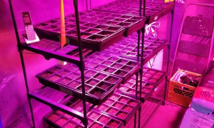 Byingo 4ft 64W Plant LED Grow Light Full Spectrum
