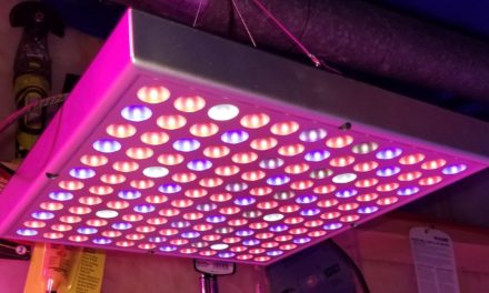 New 45 Watt Zongsi Square Plant Supplementary LED Grow Light