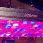 JCBritw 100Watt LED Grow Light Full Spectrum UV IR