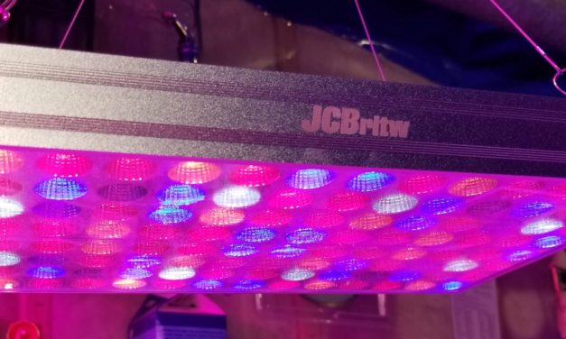 JCBritw 100Watt LED Grow Light Full Spectrum UV IR