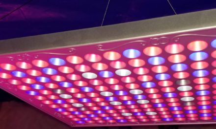 TOPLANET 75 Watt Full Spectrum Grow Light with 24H Cycle Timer