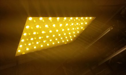 Growstar Double Chip 600 Watt Full Spectrum LED Grow Light