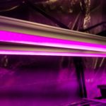 Barrina 4ft T8 252W (6 x 42W) Full Spectrum LED Grow Lights