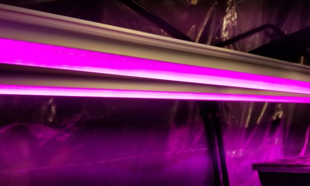 Barrina 4ft T8 252W (6 x 42W) Full Spectrum LED Grow Lights