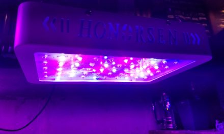 600W Honorsen Full Spectrum Led Grow Light with Veg and Bloom Switch