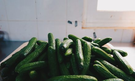 Canadian Garden Vegetables Guide