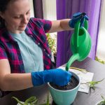 The Therapeutic Benefits Of Gardening For Stress Relief