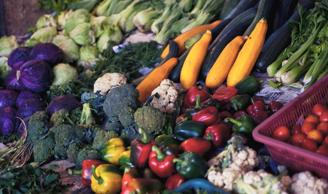 Embracing A Vegetable Rich Diet For Better Health