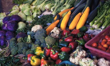 Embracing A Vegetable Rich Diet For Better Health