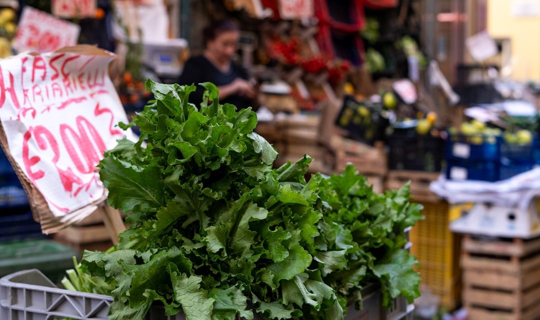 The Health Benefits Of Growing Your Own Vegetable Garden